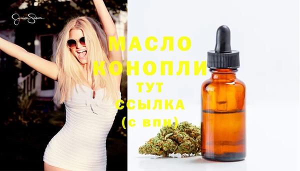 шишки Гусь-Хрустальный