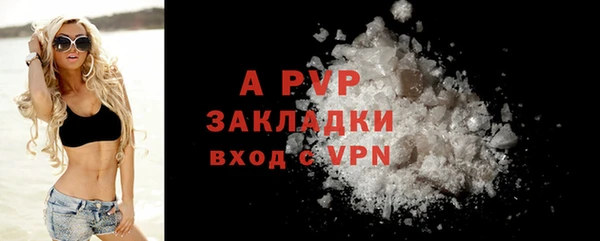 шишки Гусь-Хрустальный