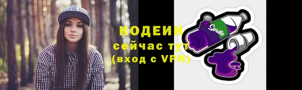 шишки Гусь-Хрустальный