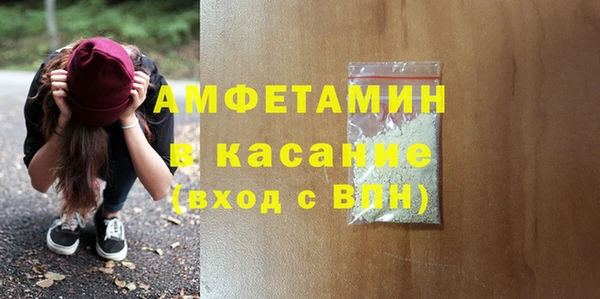 шишки Гусь-Хрустальный