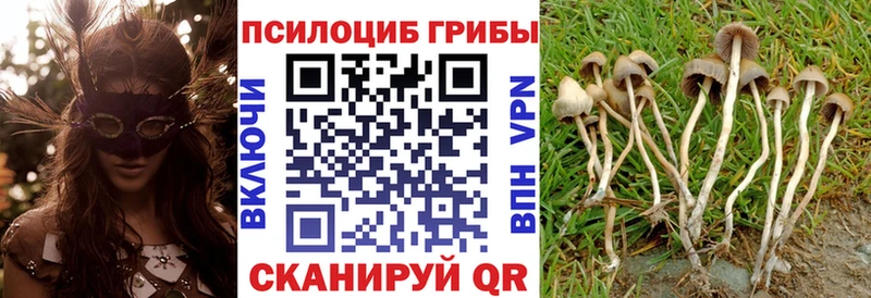 нарко площадка Telegram Таганрог Псилоцибиновые грибы ЛСД